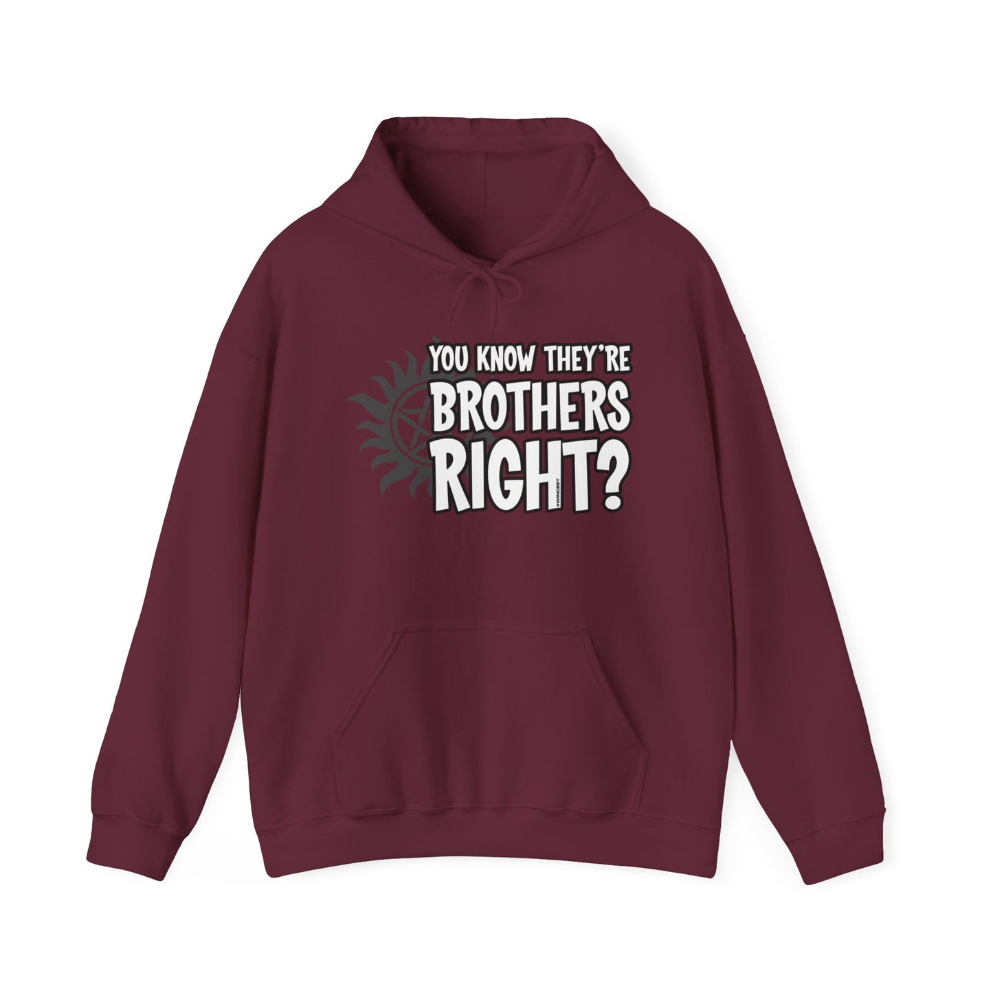 They're Brothers Hoodie